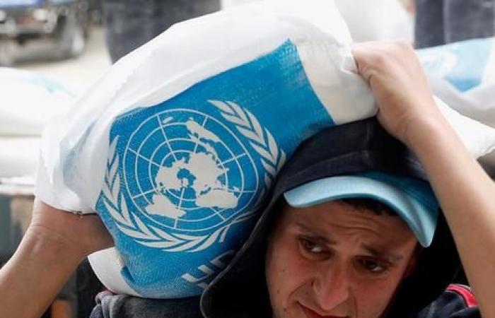 Covid-19 outbreak drains UN budget for Palestinian refugees