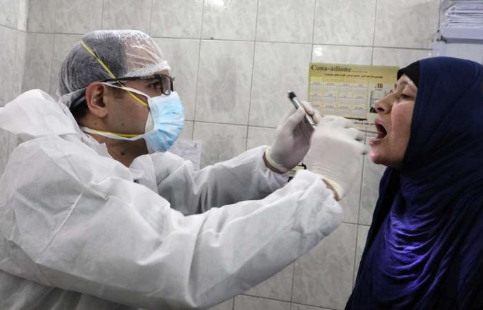 Coronavirus: Egypt reports 388 more infections in last 24 hours, a record high