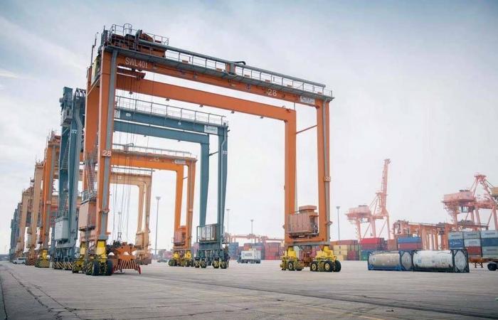 Saudi port registers record, receives 26 ships in a day