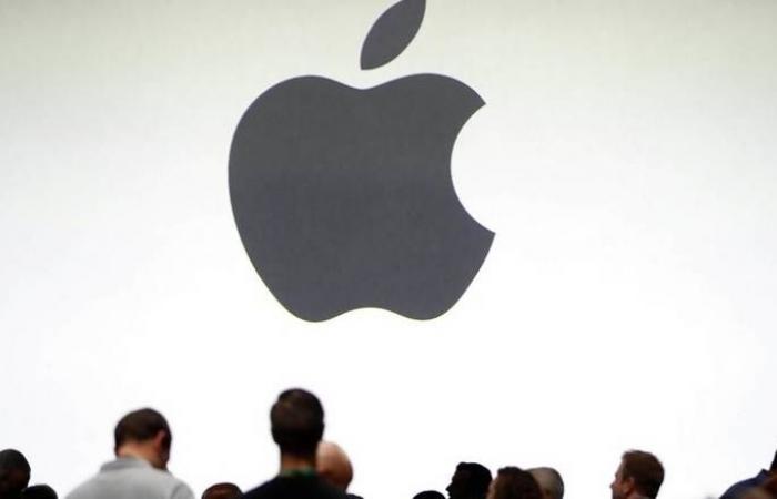 Apple may launch affordable iPad, new iPad mini with bigger screens