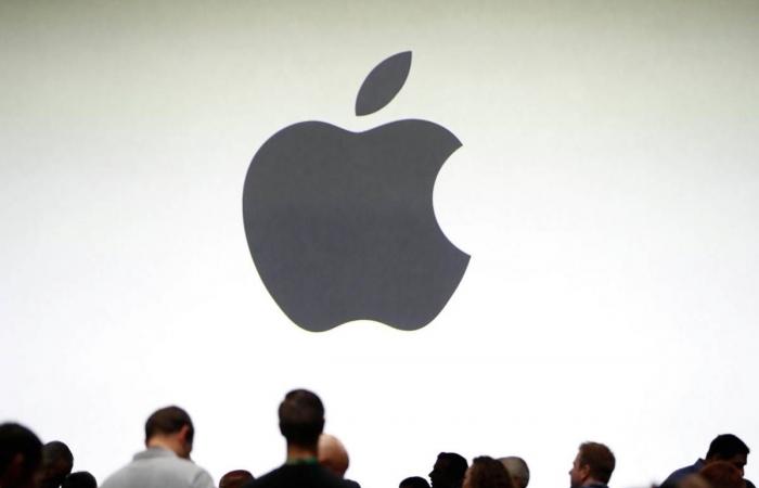 Apple may launch affordable iPad, new iPad mini with bigger screens