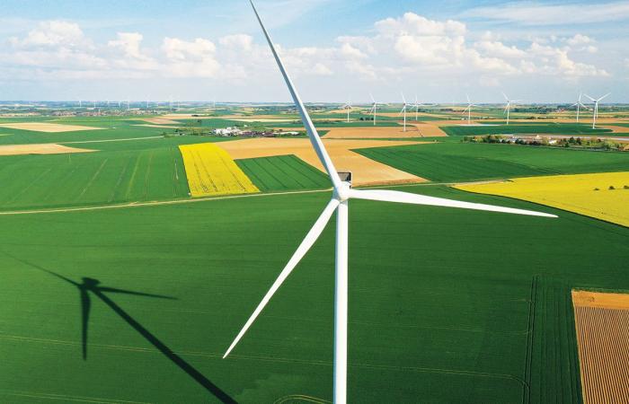 IEA calls for economic recovery to be driven by renewables