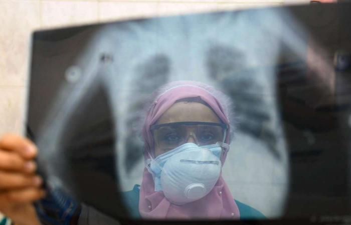 Coronavirus: Egypt medical union issues warning over health system