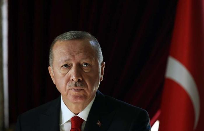Erdogan backers peddle rumours of another coup in Turkey