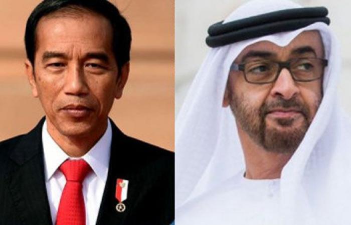 Mohamed bin Zayed, President of Indonesia review global fight against COVID-19