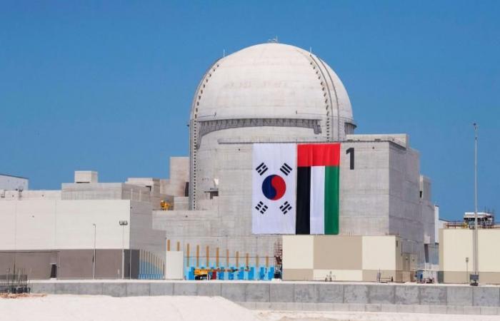 UAE Crown Prince hails ‘remarkable progress’ at Barakah nuclear plant