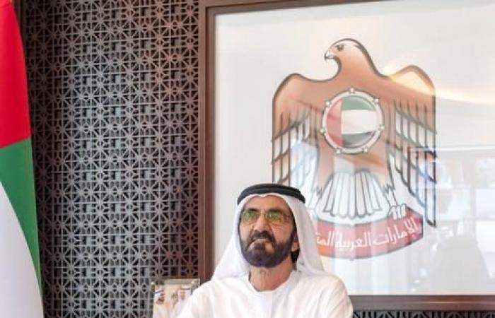 UAE creates bonus scheme for critical workers during crises