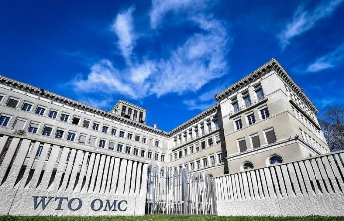 KSA at WTO: Real dispute with Qatar related to Gulf security interests