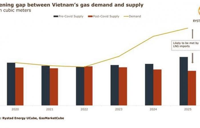 How COVID-19 benefits coal: The case study of Vietnam