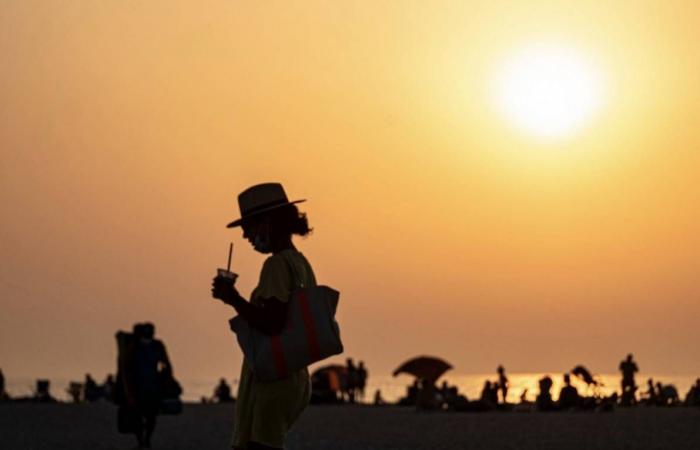 New study shows summer sun can kill coronavirus in 30 minutes, but other experts are sceptical