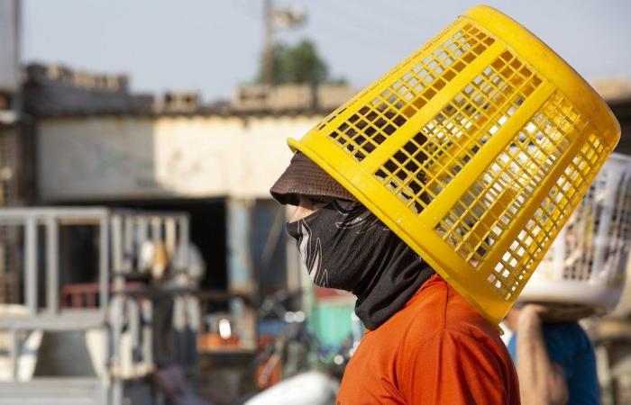 Bahrain to pay 50% of wages for private firms hit by coronavirus