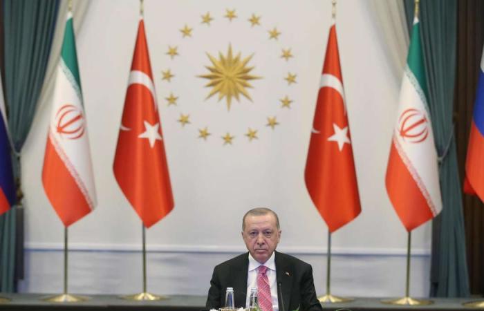 President Erdogan: Turkey will introduce strict social media controls