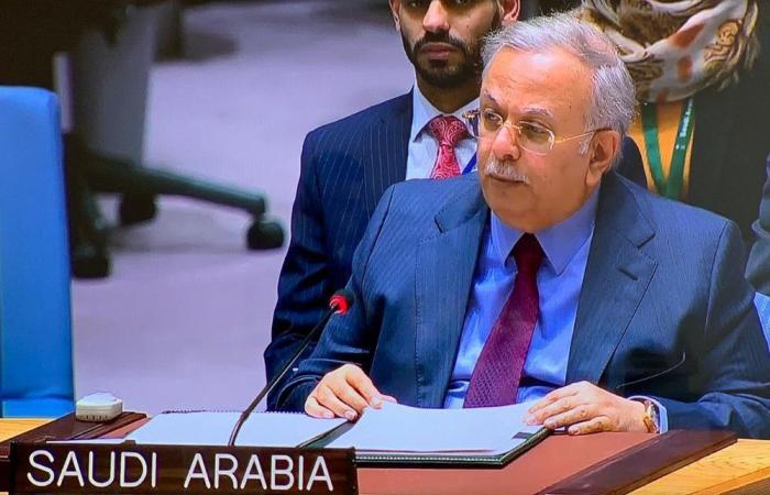 Saudi envoy calls for extension of UN arms embargo on Iran