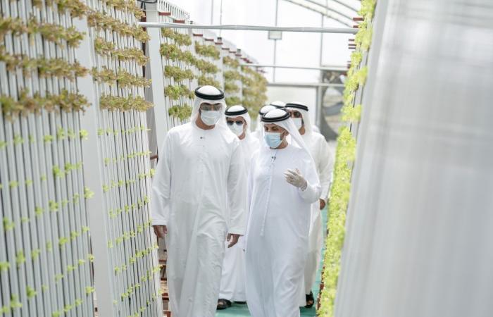 Mohamed bin Zayed tours model farms in Abu Dhabi
