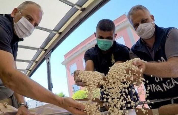 Drug haul worth €1 billion seized in Italy linked to Assad regime in Syria