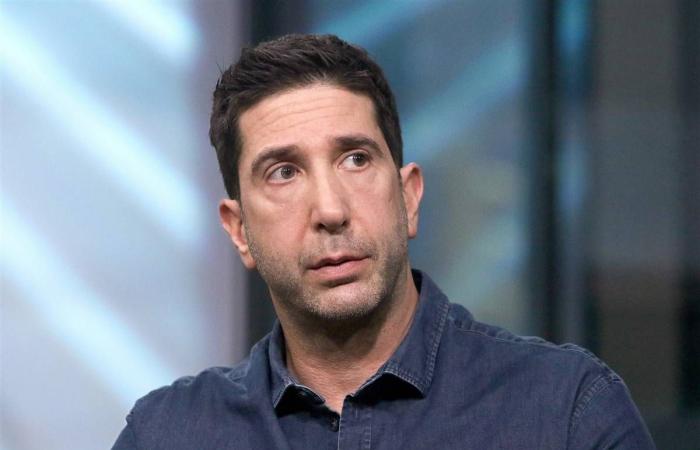 Bollywood News - David Schwimmer: 'Friends' reunion tricky to pull off amid...