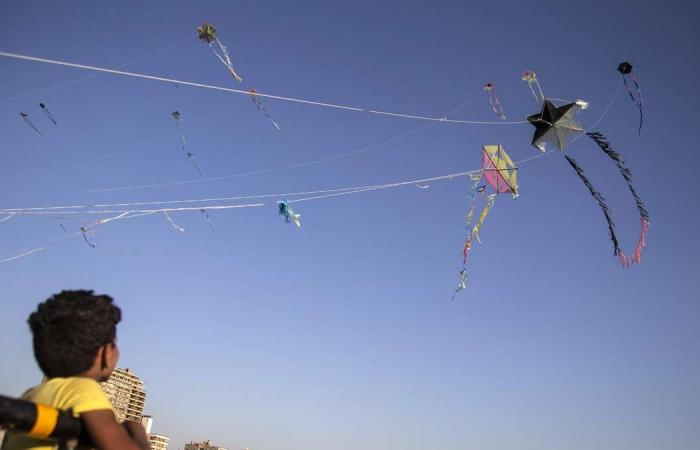 Egyptian authorities crack down on Cairo kite flying and trade