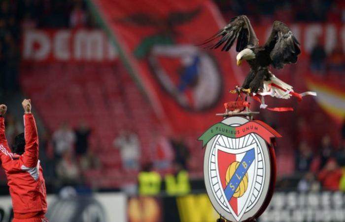 Nogoom FC youngster set for Benfica trial, reveals club president