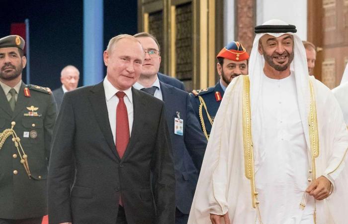 Sheikh Mohamed bin Zayed and Russian President Vladimir Putin discuss Libyan crisis