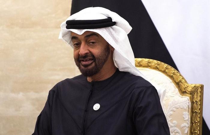 Abu Dhabi crown prince targeted by French torture probe, sources say
