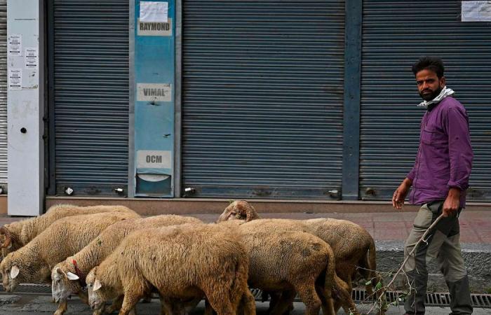 Coronavirus: India locks down Kashmir as cases surge