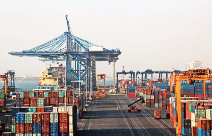 Saudi Ports to develop massive grain terminal in Yanbu