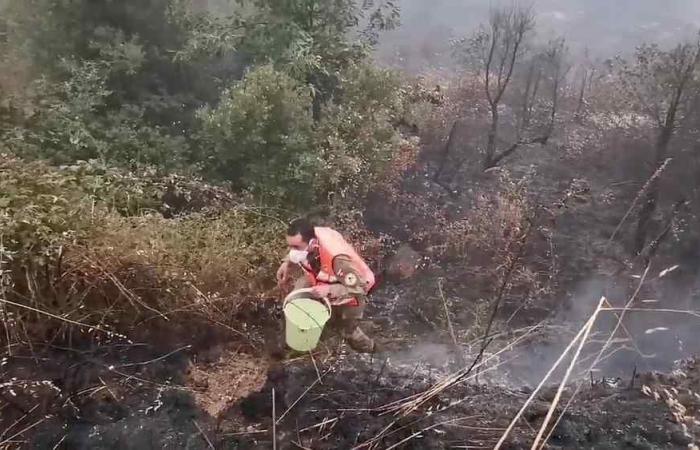 Portugal on high alert as firefighters battle blaze