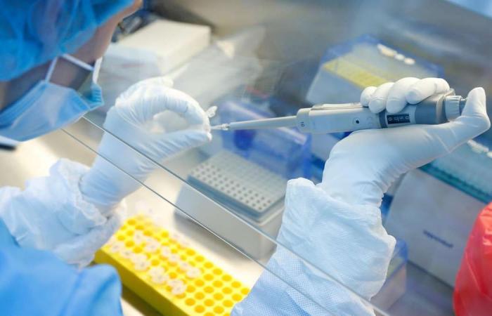Researchers 'impressed but unsurprised' over Russia's Covid-19 vaccine development
