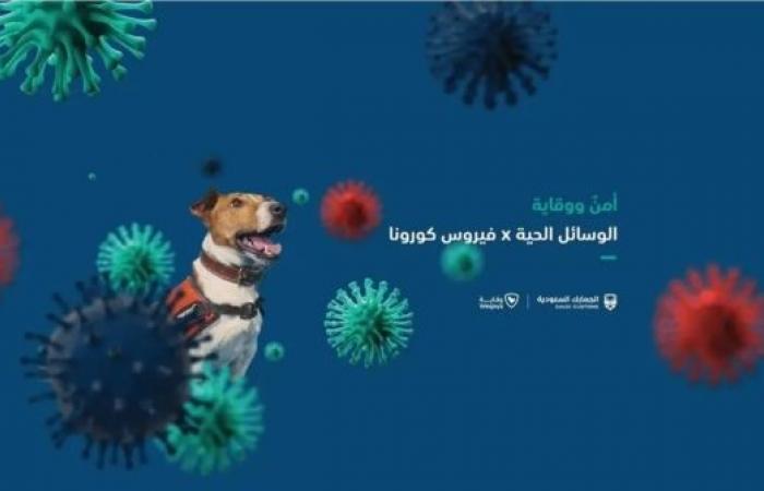 Saudi Customs to deploy trained dogs to sniff out coronavirus cases