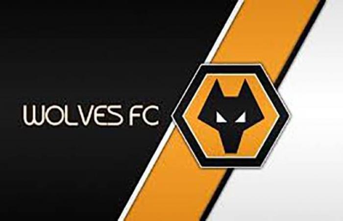 Wolves reach settlement agreement with Uefa after Financial Fair Play breach