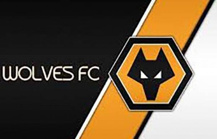 Wolves reach settlement agreement with Uefa after Financial Fair Play breach