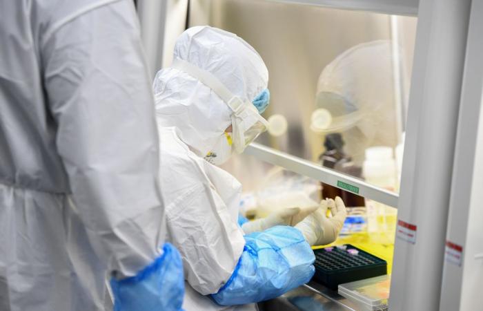 US developing coronavirus strain for human ‘challenge’ trials