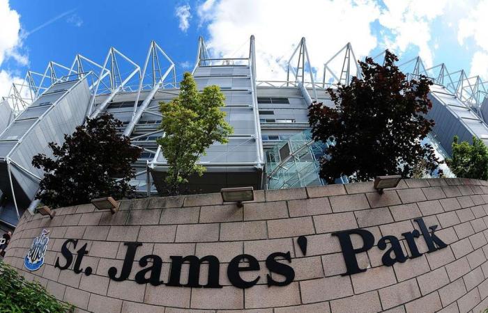 Singaporean investors in 'advanced' talks to buy Newcastle United