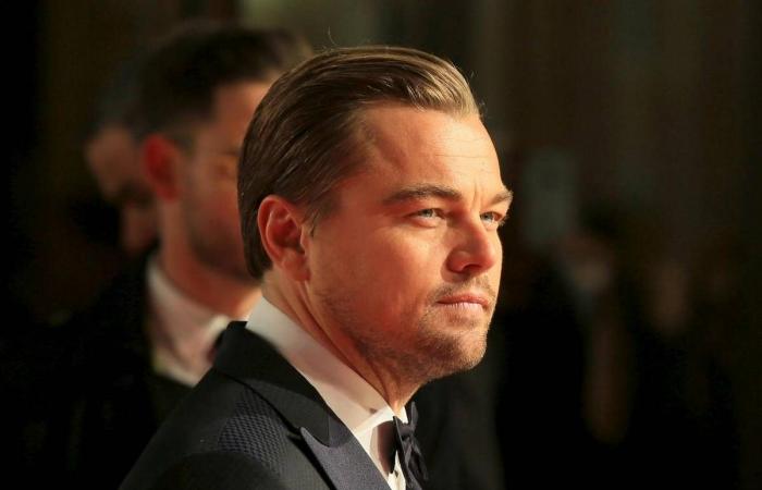 Bollywood News - Brazil VP challenges Hollywood star Leonardo DiCaprio to...