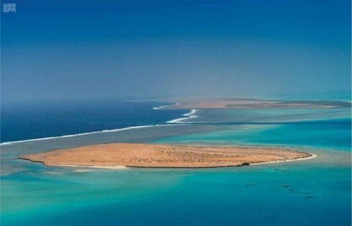 King Salman fires officials for land encroachments in Red Sea project