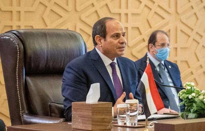 Sisi fumes over Egyptians building homes illegally on farmland