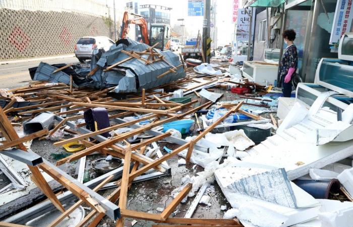 Typhoon Maysak: storm capsizes cattle ship as it batters South Korea
