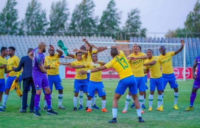 Mamelodi Sundowns crowned PSL champions for record tenth time