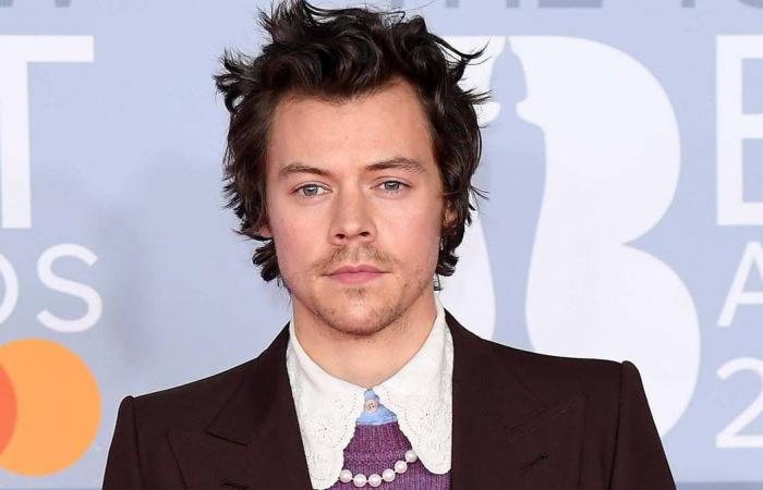 Bollywood News - Harry Styles set to star in...
