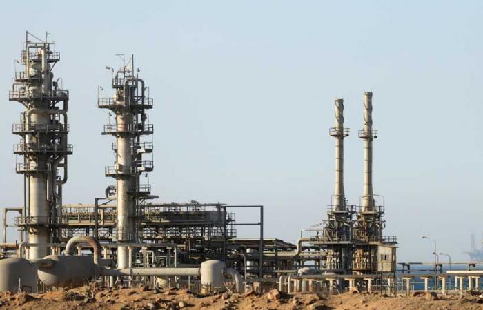 Foreign investments in Egypt’s public oil sector reach $2.2bn