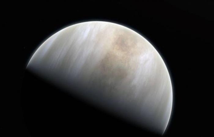 Astronomers may have found a signature of life on Venus