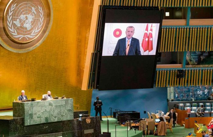 UNGA 2020: Turkey's Erdogan challenges international law legitimacy