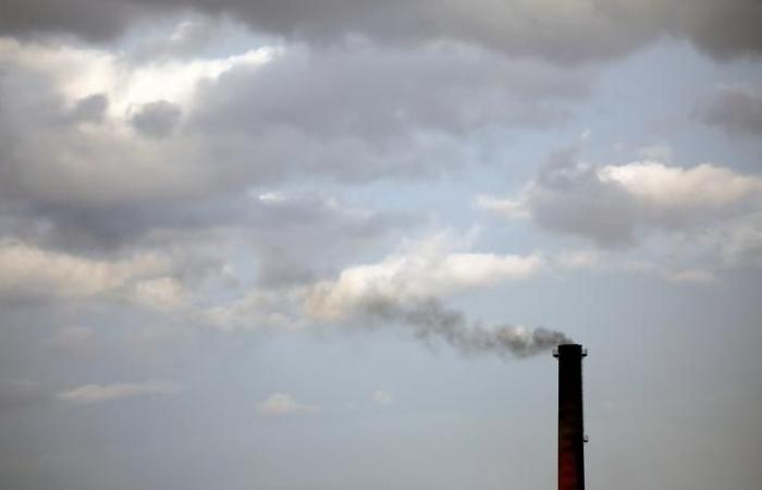‘Growing momentum’ behind efforts to limit carbon emissions: IEA