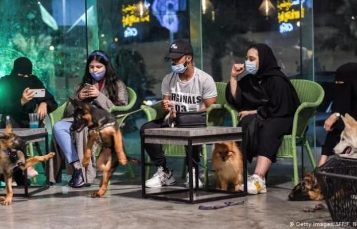 The first dog cafe in the Kingdom of Saudi Arabia |...