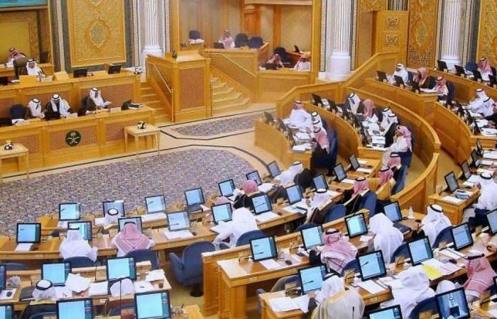 The Saudi Shura Council approves the “defamation of harassers” – Erm...