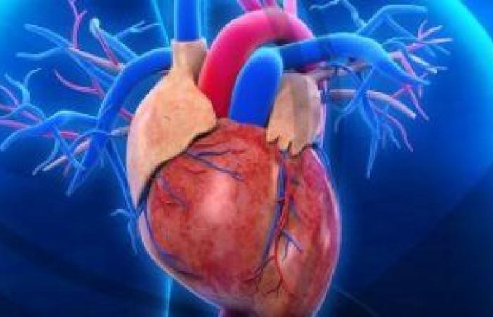Cardiovascular diseases cause 17.9 million deaths in the world annually