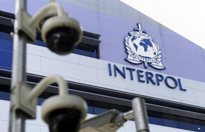 Nomination of the UAE for the presidency of INTERPOL