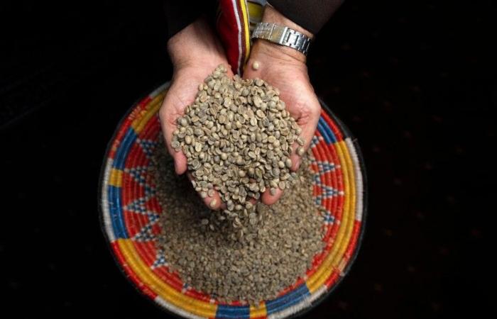 How do Saudis care about “Khawlani coffee”? – Saudi news