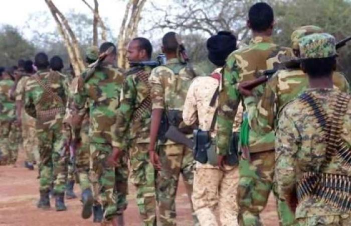 18 militants killed in a military operation in southern Somalia –...