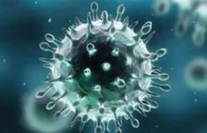 Coronavirus immunity may not last long … Here is the proof